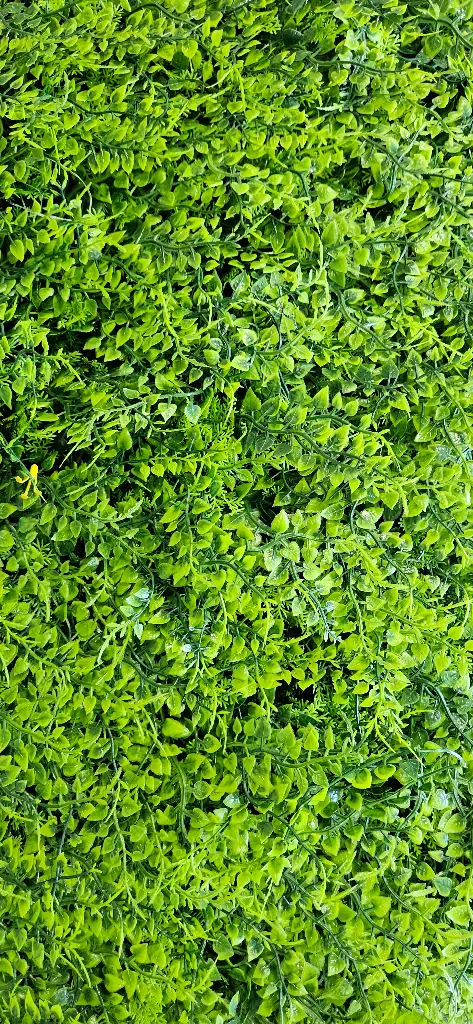 Follaje Hoja Musgo  1m x 1M