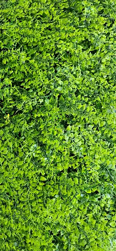 Follaje Hoja Musgo  1m x 1M
